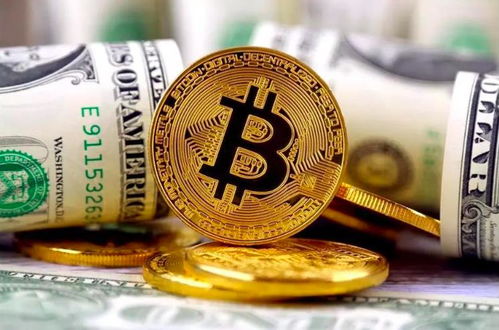 比特幣狂潮與實業堅守 價值投資的多元思考